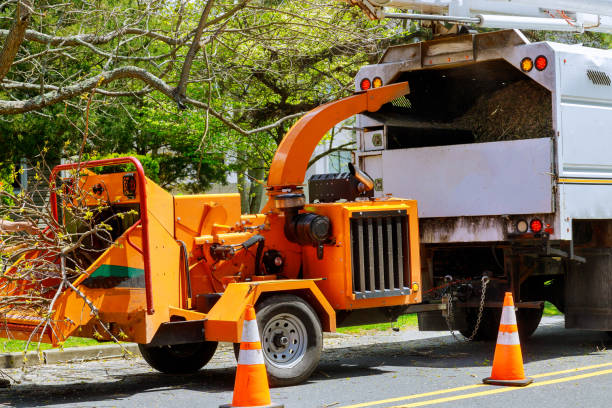 Best Tree and Shrub Care  in Tunkhannock, PA